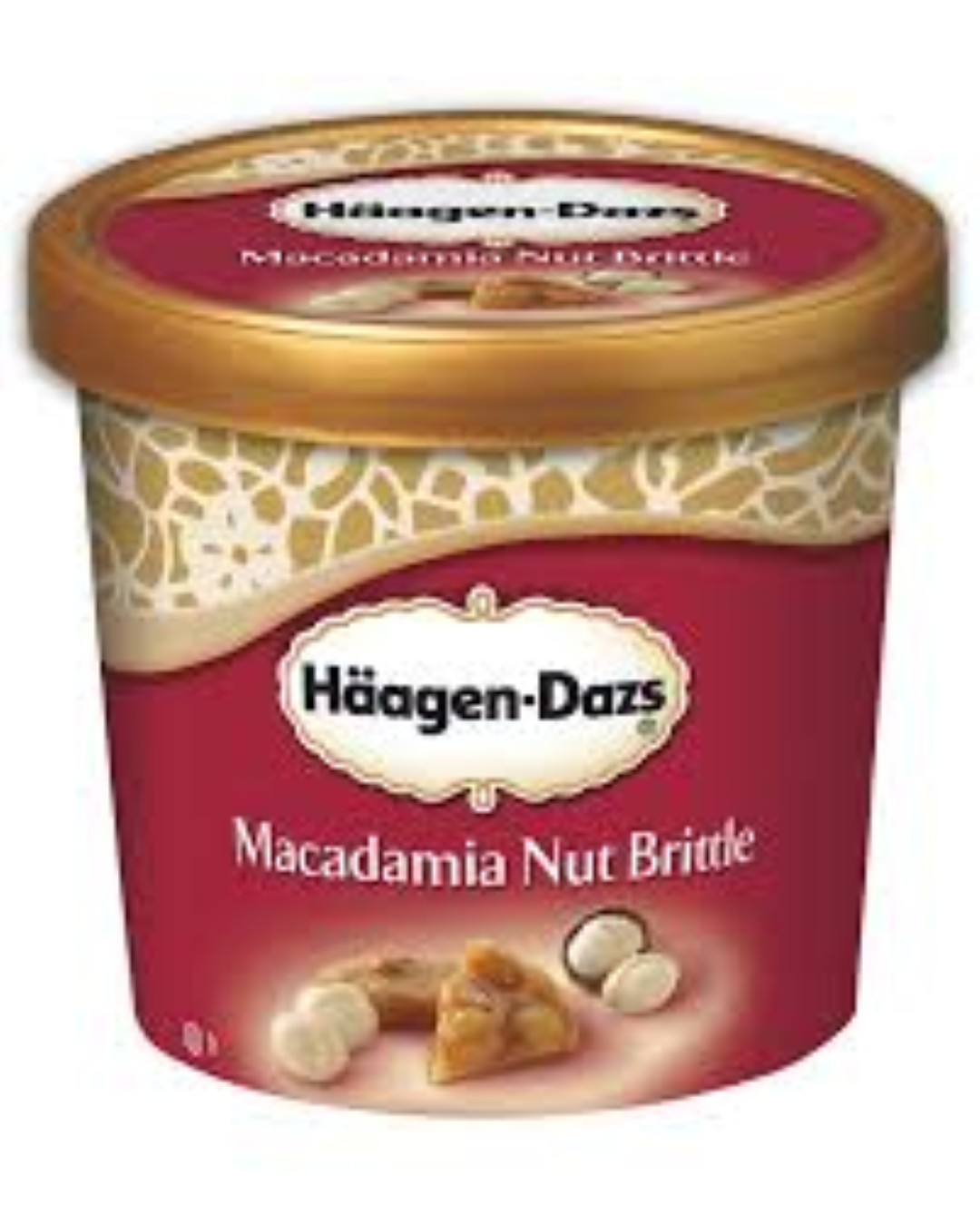 HAAGEN DAZS MACADAMIA NUT BRITTLE 500ML